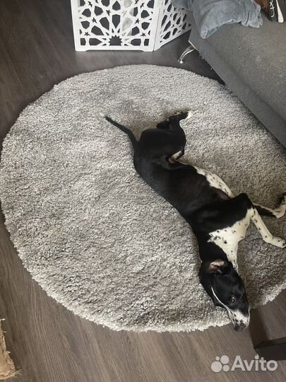 Ковер круглый