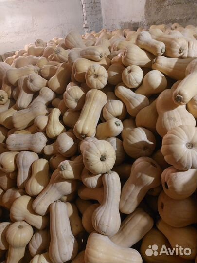 Цветная капуста