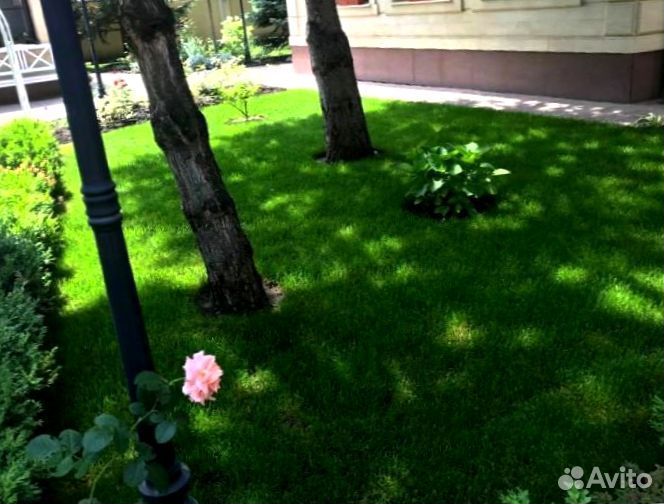 Рулонный газон