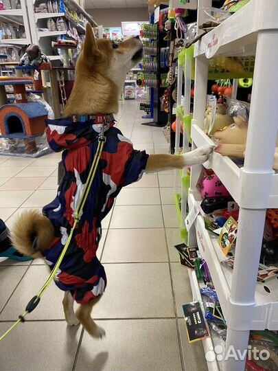 Дождевик для собак