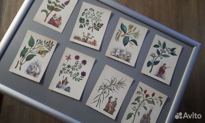 Набор открыток СССР, винтаж тема специи, пряности