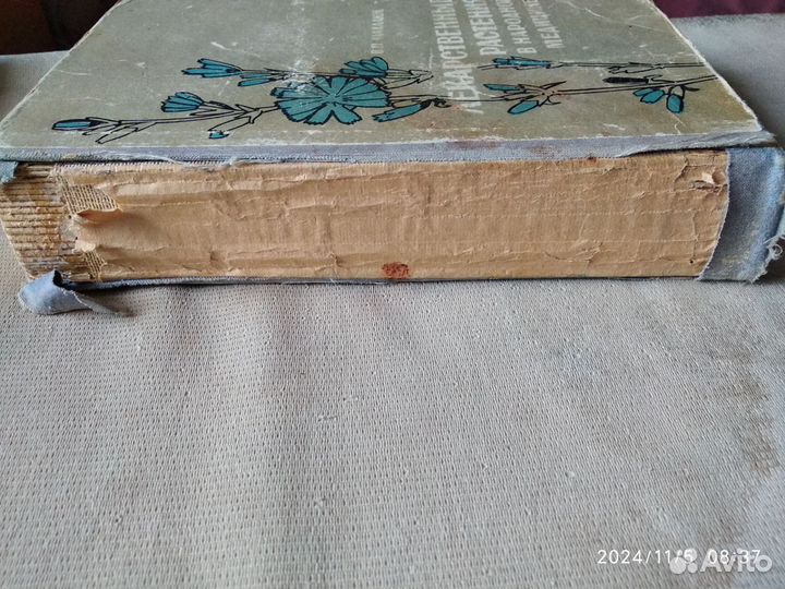 Лекарственные растения в народной медицине