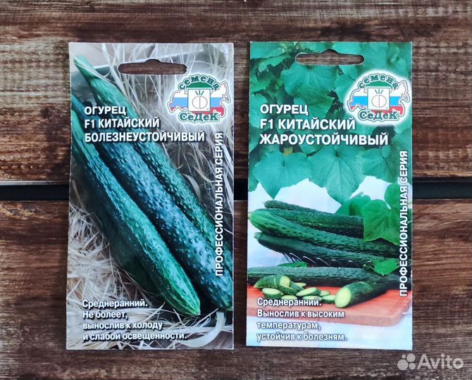Семена Огурцов седек