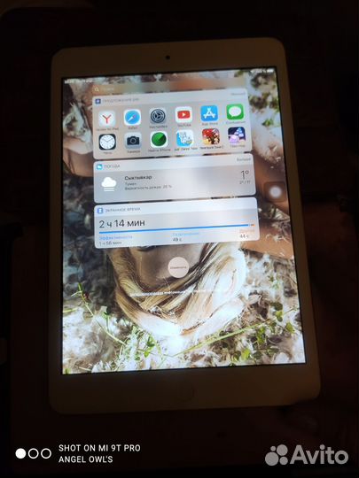iPad mini 2 32gb