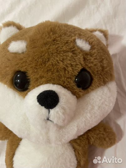 Собачка сиба ину lalafanfan