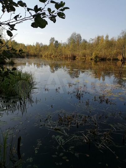 Участок 16 сот. (ИЖС)