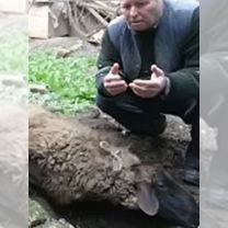 Гадание приворот защита снятие сглаза обучение, Аральск
