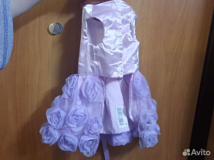 Одежда для маленьких собак