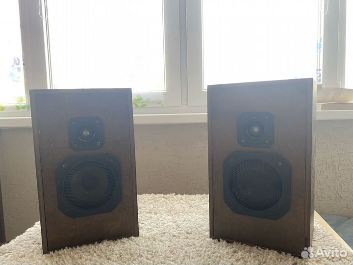 Колонки радиотехника s 30а