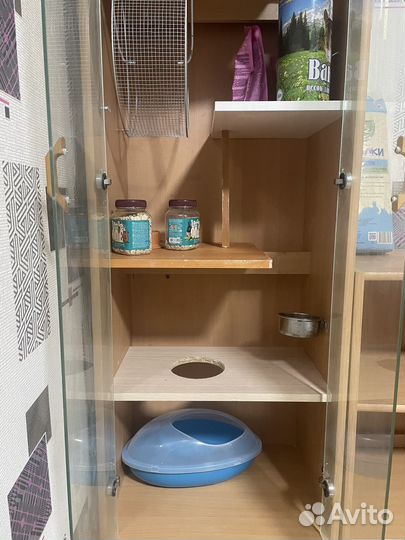 Витрина для шиншилл