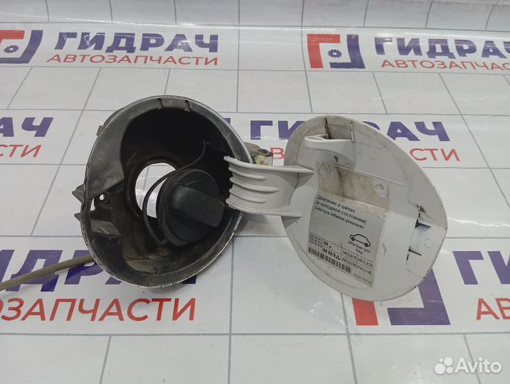 Лючок бензобака Volkswagen Passat CC 3C8809857egru