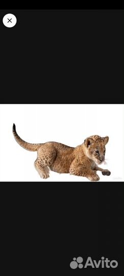 Удаление фона с фото