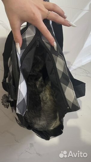 Сумка для животных