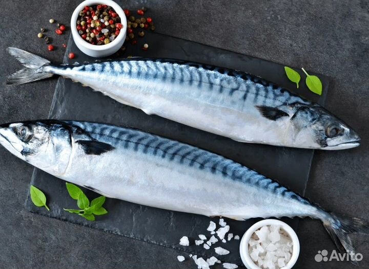 Рыба Скумбрия свежемороженая