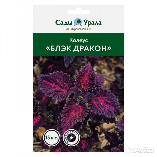 Колеус «Блэк Дракон» - семена питомника Сады Урала