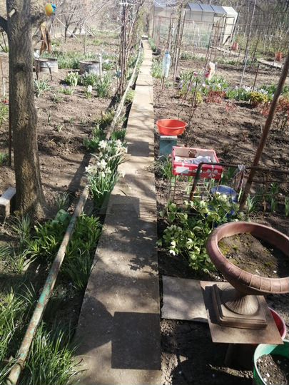 Дача 27 м² на участке 7 сот.