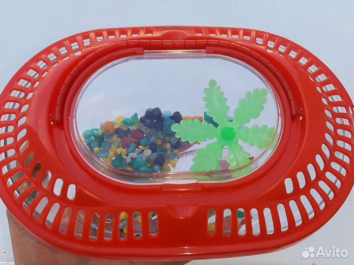 Декоративные черепашки