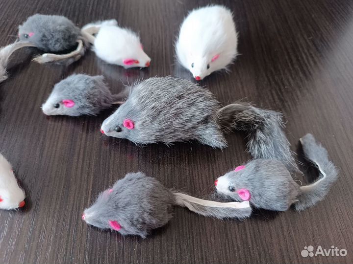 Мышки для кошек