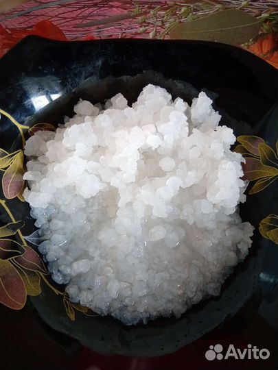 Индийский морской рис(Тибикос)