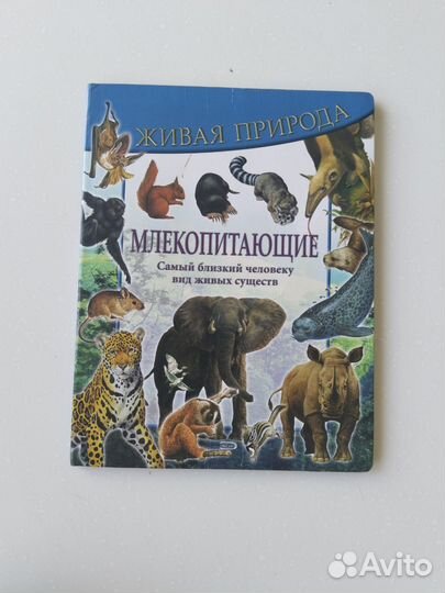 Книга Млекопитающие