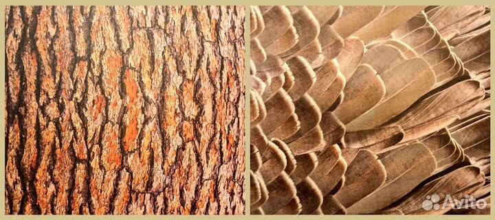 Скрапбумага фотофон рукоделие поделки творчество