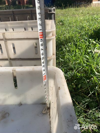 Пластиковые ящики для овощей и фруктов