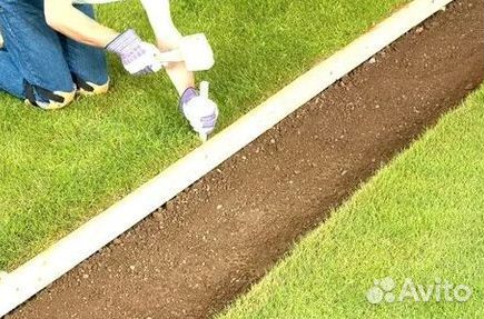 Продажа Рулонного газона