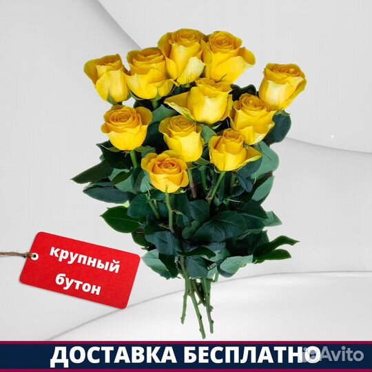 Розы Эквадор - 11 шт. 70 см