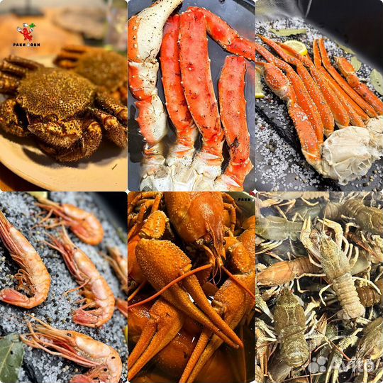 Раки Волжские