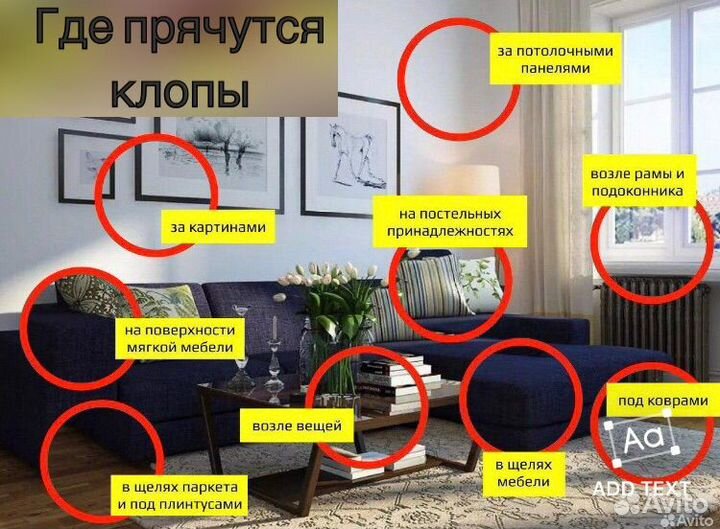 Дезинфекция Обработка Уничтожение тараканов клопов