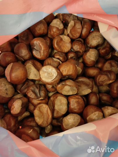 Каштаны сушеные 2023/2024 года