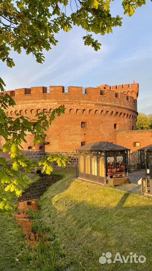 Экскурсии по Калининграду и области,услуги гида