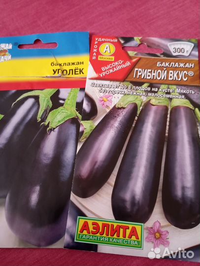 Рассада баклажан