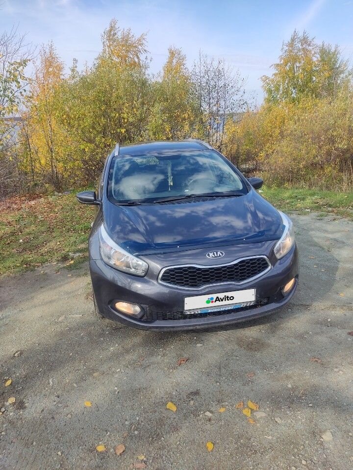 Kia Ceed: фото владельца