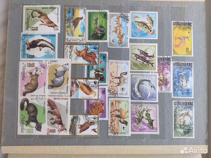 Почтовые маркиМонголии