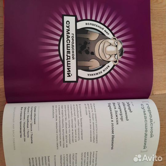 Волшебный мир Васи Ложкина