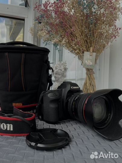 Canon 5d mark ii + canon ef 24-105mm f/4l is usm