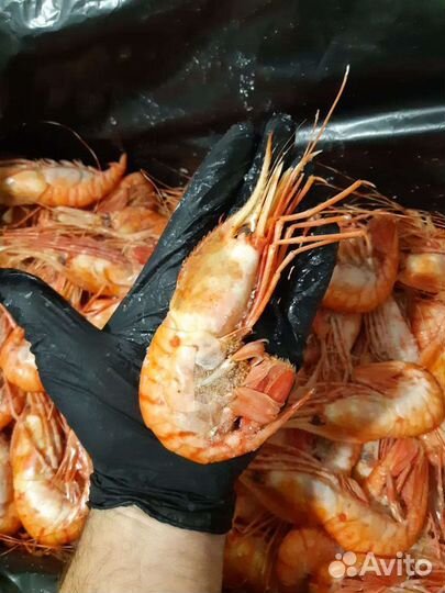 Морепродукты