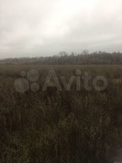 Участок 15,5 сот. (ИЖС)