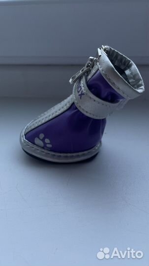 Обувь для собак