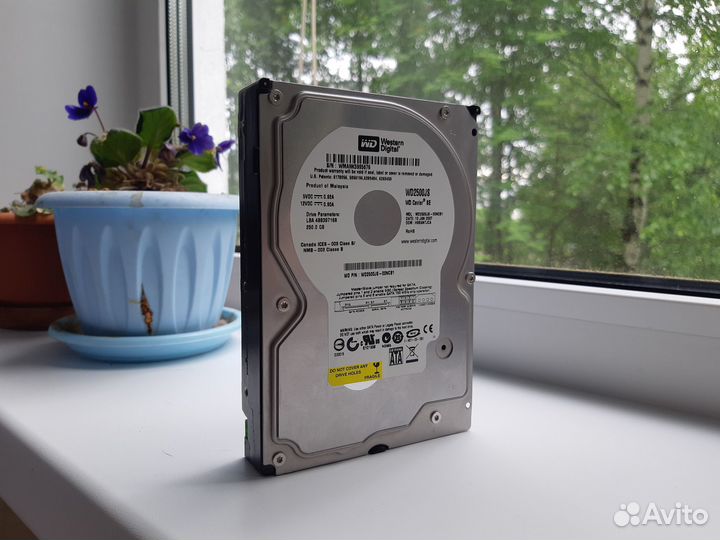 Жесткий HDD-диск WD2500JS
