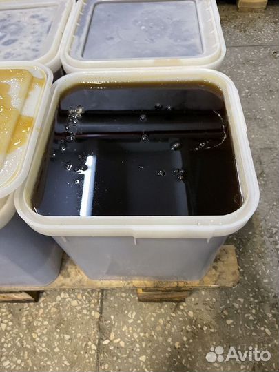 Натуральный гречишный мёд Качка 2023 опт