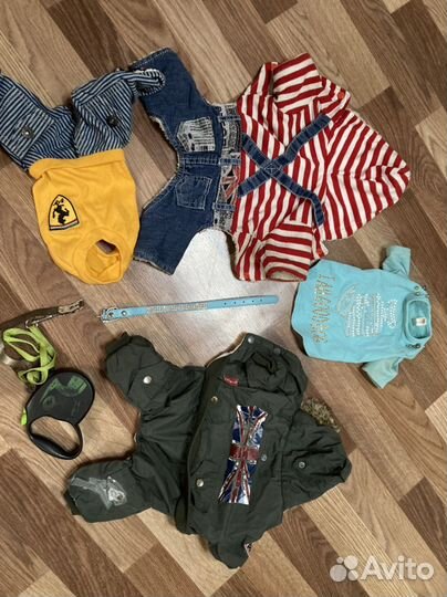 Набор одежды для собаки