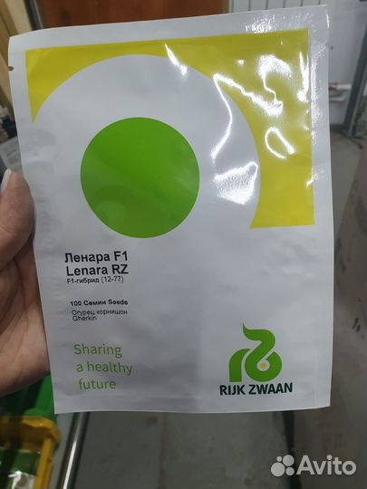 Семена огурец Ленара корнишон 100с Рийк Цваан