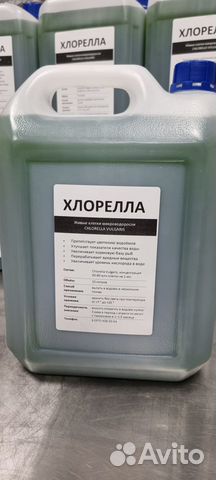 Хлорелла для очистки водоемов