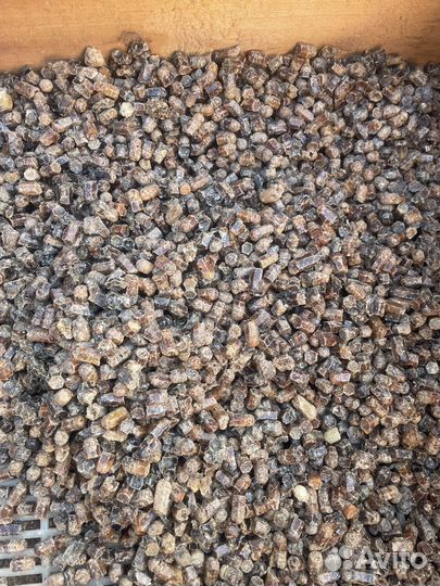 Мёд таежный. Мед натуральный, перга