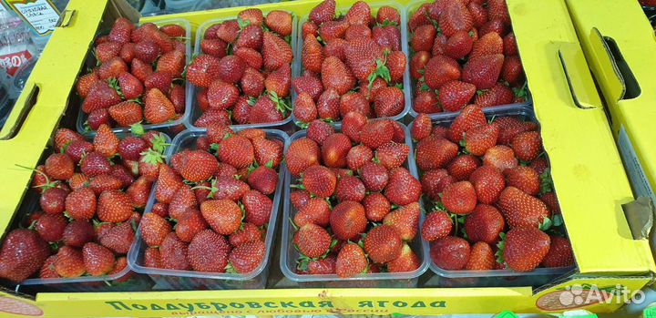 Клубника вкусная сладкая бесплатная доставка