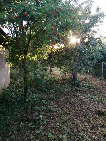 Дом 70 м² на участке 10 сот.