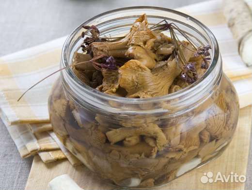 Белые грибы соленые