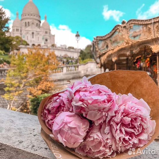 Пионы букет доставка